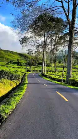 3 video clips HD 