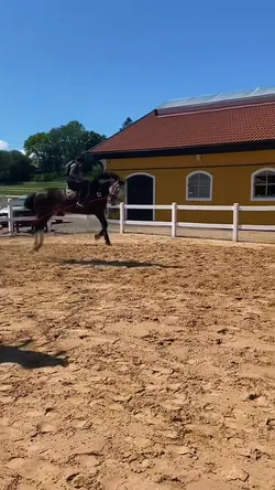 BUCKKK 