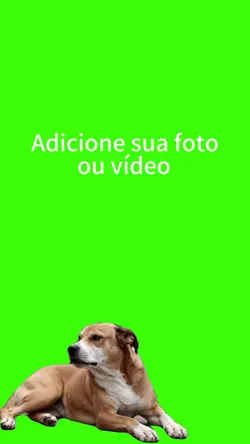 Cachorro caramelo.