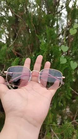 Sunglasses
