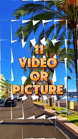 11 video or picture 