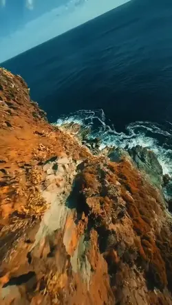 17 videos or photos 