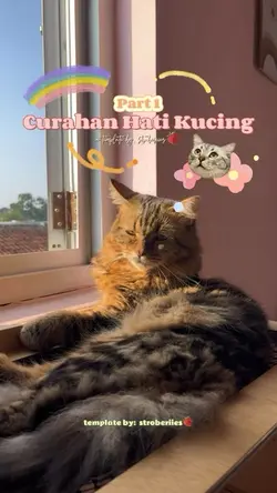 Curti majikan part 1