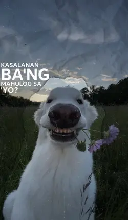 Naiilang