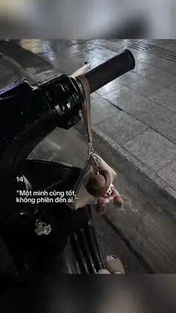 1 Pic Captions 