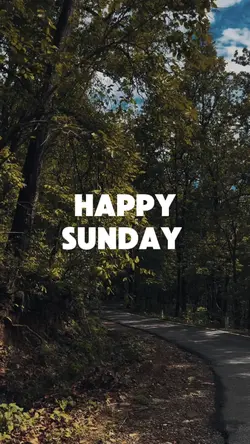 Happy Sunday 
