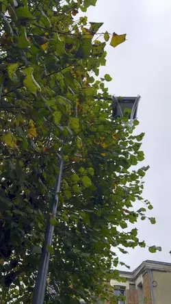 Bon début d’automne