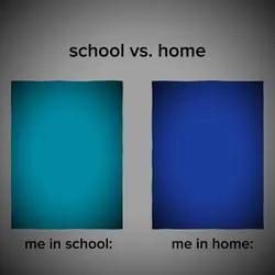 school vs home