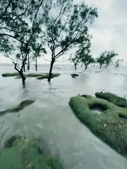 Slow motion video 