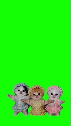 Cats Dancing