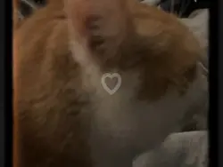 Sad template<3