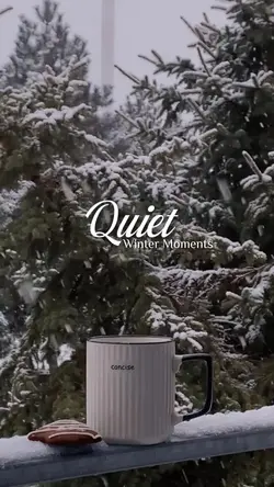 Quiet Winter Moments
