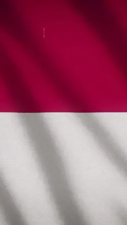 Hut RI ke 80