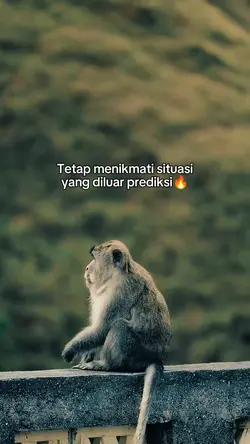 bahan sw