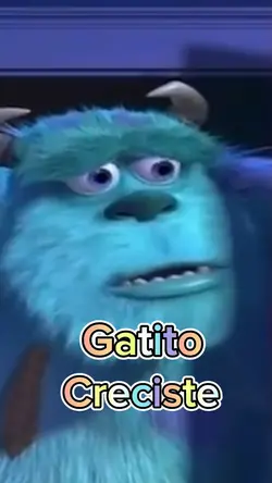 Gatito