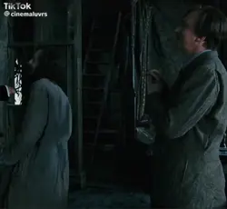 Sirius and Remus