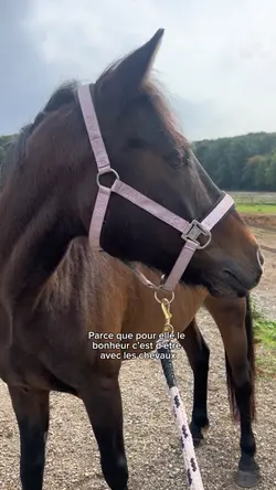 Pour elle le bonheur