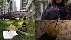 grid 4 clips