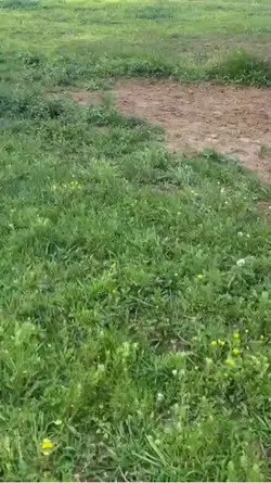 Trickriding  tdy!!