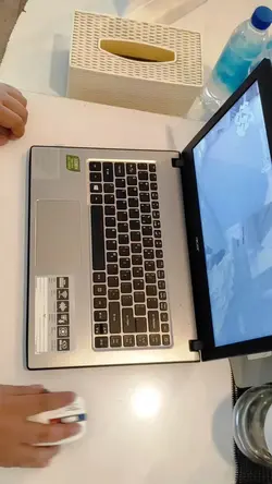 reviewe mouse