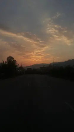 Morning view nature🌄