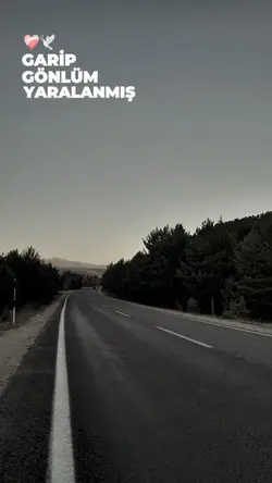 Bir görsen feleğim