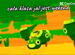 szkola