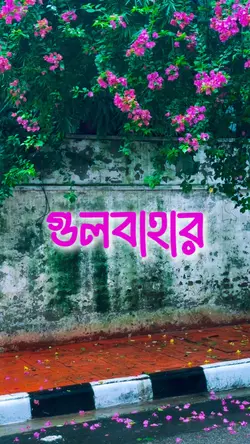 Gulbahar 