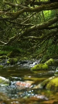 Adventure Aesthetic