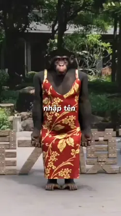 mẫu troll 