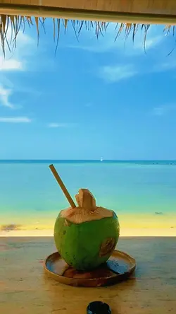 Aesthetic Sea