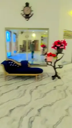 viral video
