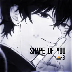 Shape of You | 📸×3