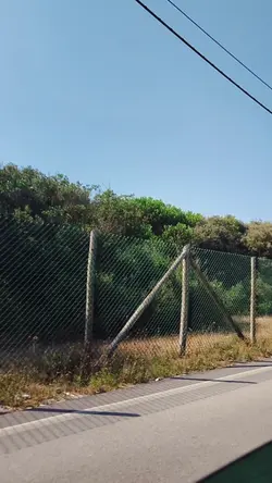san lorenzo