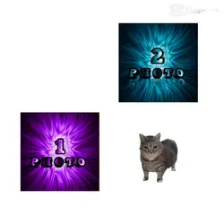 NEW TERND TEMPLATERS