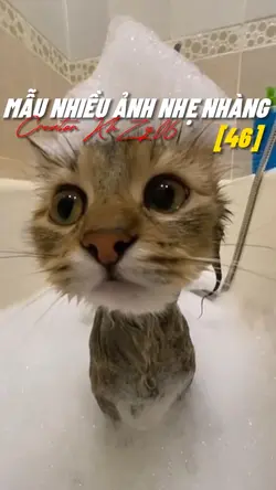[46] ẢNH NHẸ NHÀNG 