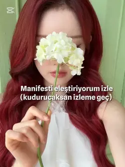 Manifest eleştiri