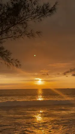 Sunset Vibes
