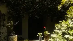 5 video