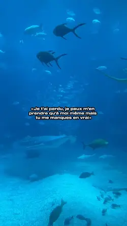 Je t’ai perdu…💔