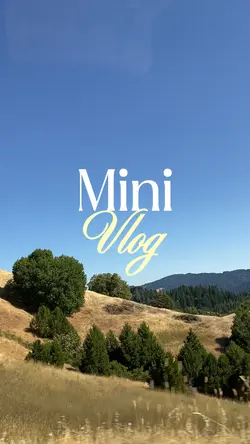 Mini Vlog