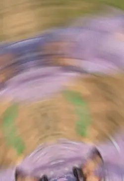 Dai caiyo 