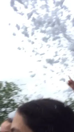 Slow motion
