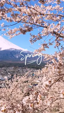 Spring