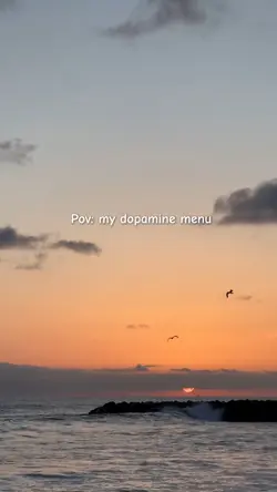 Pov:my dopamine menu