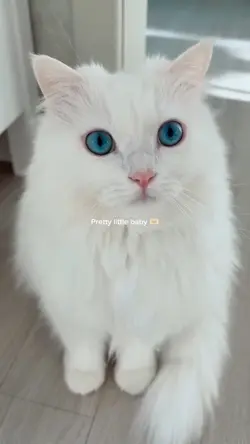 Pretty little baby