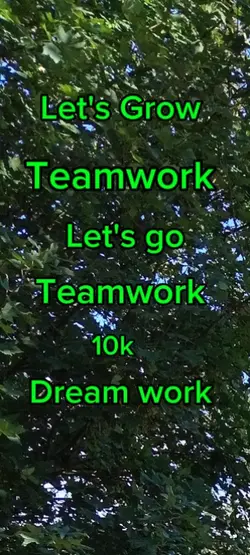 Teamwork 