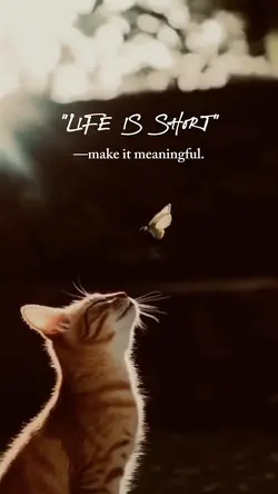 life is short