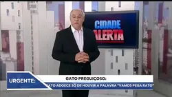 soneca