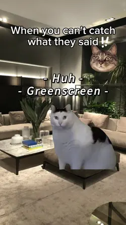 Misheard POV 